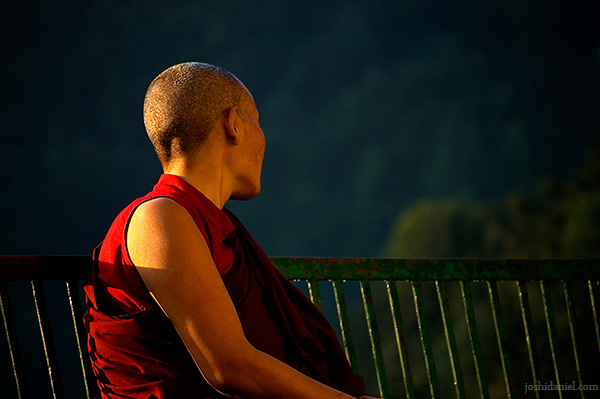 A moment of tranquility of a buddhist nun in Mcleod Ganj, Dharamsala
