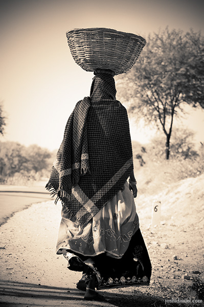 A rajasthani woman walking with a basket on her head