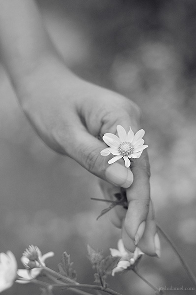 Girl holding a flower