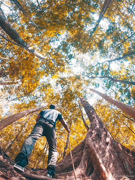 A GoPro Self-portrait of joshi daniel taken during the trek to the Agasthyarkoodam (Agastya Mala) in the Western Ghats of South India