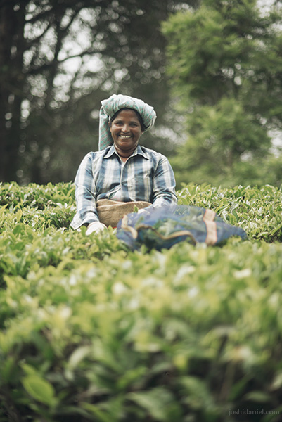A smiling tea estate worker from Top Station, Munnar, Kerala, India
