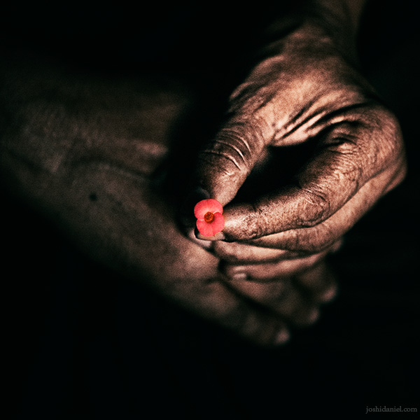 Holding a small red flower