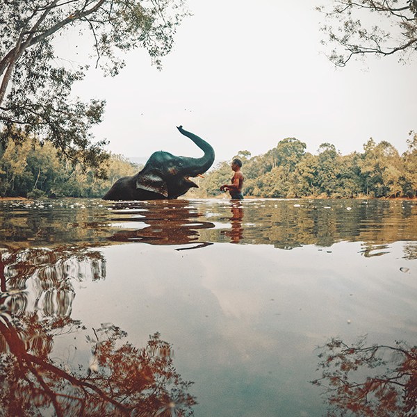 Mahout bathing an elephant in the Elephant Rehabilitation Centre at Kottur, Trivandrum, Kerala, India